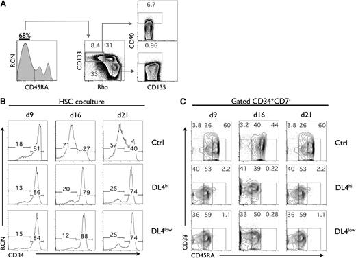 Figure 1. Notch signaling maintains a CD45RA− cell subset in cultures of umbilical CB HSCs. (A) Flow cytometric analysis of lineage-depleted CD135+. Three populations of CD45RA were observed (CD45RA−, CD45RAint, and CD45RAhi). CD45RA− were analyzed for CD133 expression and Rhodamine-1,2,3 (Rho) uptake which identified 3 levels of Rho staining (Rholow, Rhoint, Rhohi). The CD133+Rholow cells were analyzed for the expression of CD90 and CD135. CD90low are referred to as HSC, and CD90− cells are referred to as MPP. A representative experiment is shown from at least 10 independent analyses. (B) Cocultures were initiated with CD90low cells (HSCs) placed on OP9-Ctrl, -DL4hi, and -DL4low cells and analyzed by flow cytometry at days 9, 16, and 21 of culture for the expression of CD34 as indicated. (C) CD34+CD7− gated cells from the indicated cocultures were analyzed at days 9, 16, and 21 for the expression of CD38 and CD45RA. Numbers within each plot indicate the percentage of cells in the indicated gates. A representative experiment is shown, from at least 10 independent cultures.