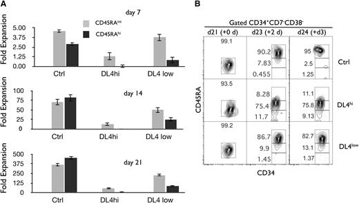 Figure 4. Notch signals lead to an enhanced cellular expansion of CD45RA− cells and delay the cellular expansion of CD45RAint and CD45RAhi progenitors. Cocultures were initiated with CD90low cells (HSCs) placed on OP9-Ctrl, -DL4hi, and -DL4low cells and analyzed by flow cytometry at days 7, 14, and 21 of culture. The cellular fold expansion based on the absolute numbers of cells recovered (from day 0 5-10 000 HSC plated) is shown for CD45RAint and CD45RAhi cells. (A) Bar graphs show mean and SE of at least 10 independent experiments. (B) Precursor-product relationship between CD45RAint and CD45RAhi cells. Cocultures were initiated with CD90low cells (HSCs) placed on OP9-Ctrl, -DL4hi, and -DL4low cells. After 21 days of culture, OP9-Ctrl, -DL4hi, and -DL4low cultures were harvested separately and CD45RA−/int cells were sorted by flow cytometry and recultured under the same conditions in stem media. This defines a new day 0 (purity analysis for this day 0 shown). Two and 3 days later, cells were analyzed for the expression of CD34 and CD45RA on gated CD34+CD38−CD7− cells. Numbers within each plot indicate the percentage of cells in the indicated gates. Representative plots of 3 independent experiments are shown.