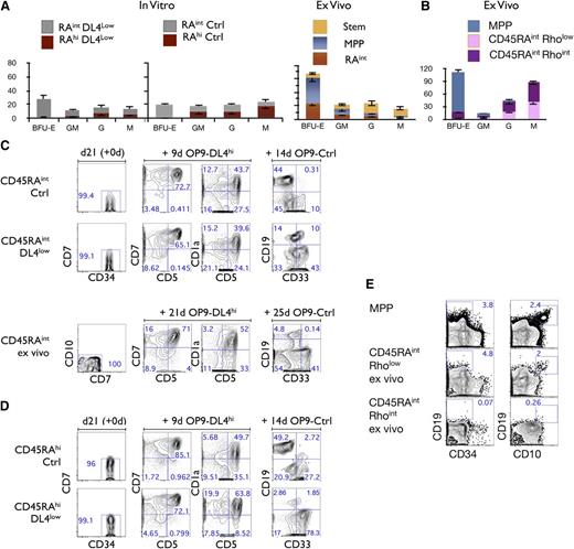 Figure 5. Lineage potential of CD45RAint and CD45RAhi cells. (A) CFU-C generation from 500 plated, day 21–sorted CD45RAint and CD45RAhi cells, grown on OP9-DL4low (first panel) and/or OP9-Ctrl (second panel). CFU-C generation from ex vivo–derived Stem, MPP, and CD45RAintRholow/int CD133+CD7−CD10− (ex vivo CD45RAint) (third panel). Mean and SEM were calculated from 6 independent experiments. (B) CFU-C generation from 1000 plated ex vivo CD90− (MPP), CD45RAintRhoint cells or CD45RAintRholow cells. (C) Purity reanalysis of CD45RAint day 21–sorted fractions and ex vivo CD45RAint is shown as day 21 (+0d) (first column). Generation of CD5+, CD7+, and CD1a+ cells is shown in the middle columns and CD19+ cells vs CD33+ in the last column for CD45RAint derived from OP9-Ctrl and /or DL4low and ex vivo CD45RAint. (D) Purity reanalysis of CD45RAhi day 21–sorted fractions is shown as day 21 (+0d) (first column). Generation of T cells in vitro by CD45RAhi cells derived from OP9-Ctrl or OP9-DL4low cultures is shown in the middle columns, and generation of CD19+ or CD33+ cells is shown in the last column. Numbers within each plot indicate the percentage of cells in the indicated gates. This is a representative experiment of at least 10 independent experiments. (E) Ex vivo CD90− (MPP), CD45RAintRhoint cells or CD45RAintRholow cells were cultured on OP9-Ctrl for 26 days and analyzed for the expression of CD34, CD10, and CD19 by flow cytometry. Numbers within each plot indicate the percentage of cells in the indicated gates.