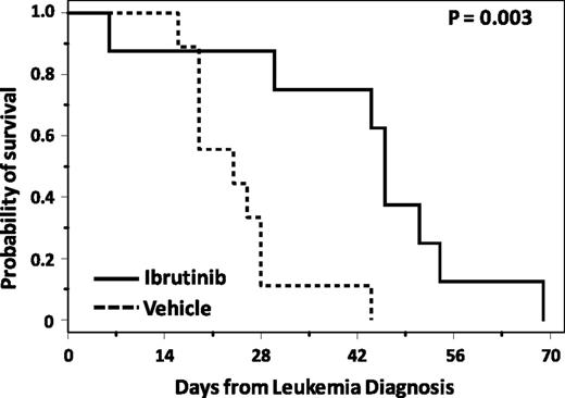 Figure 3. Ibrutinib improves OS in mice transplanted with TCL1 leukemia. After transplantation with leukemic TCL1 spleen lymphocytes, SCID mice were followed for leukemia development, and once leukemic, randomized to treatment with ibrutinib or vehicle. Mice treated with ibrutinib (n = 8) survived significantly longer than those treated with vehicle (n = 9; P = .003).