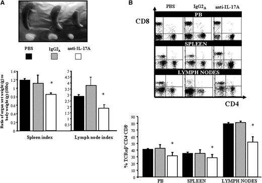 Figure 6. Effect of IL-17A neutralization in the MRLlpr/lpr lymphoproliferative pattern. (A) Representative organs (top) and mean ± SE of organ volumes (bottom) from the differently treated mice (n = 8/group). (B) DN T-cell expansion is shown in representative cytofluorimetric plots (top) and the mean ± SE of the data (bottom) from each group are shown. *P < .05 (Mann-Whitney U test).