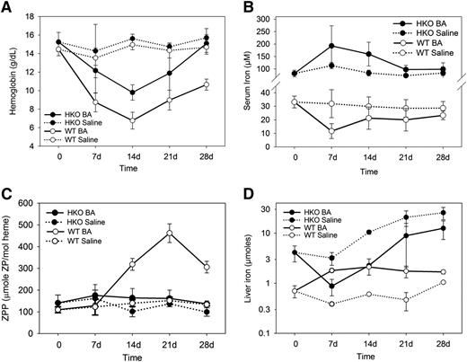 Figure 5. Hepcidin ablation attenuates B abortus–induced anemia and iron restriction. (A) B abortus–treated Hamp-KO mice (HKO) develop milder anemia than their WT counterparts and completely recover by 28 days. Hamp-KO B abortus vs WT B abortus, day 7 or 21, P < .05; Hamp-KO B abortus vs WT B abortus, day 14 or 28, P < .001, n = 3 to 8 per time point. (B) Unlike their WT counterparts, B abortus–injected Hamp-KO mice increase their serum iron levels. Hamp-KO B abortus vs Hamp-KO saline, day 14, P < .05; WT B abortus vs WT saline, days 7, 14, 21, and 28, P < .05. (C) B abortus–treated WT mice have dramatically increased RBC ZPP, indicating iron-restricted erythropoiesis, compared with the very modest increases of ZPP in Hamp-KO mice. (D) B abortus–treated Hamp-KO mice mobilize iron from liver iron stores, whereas their WT counterparts mildly increase their stores in the face of anemia. Hamp-KO B abortus vs Hamp-KO saline, day 14, P < .001; day 28, P < .05. WT B abortus vs WT saline, day 7 or 14, P < .001; day 21, P < .05. Means ± SD are shown. P value by Student t test or Mann-Whitney U test. WT data shown in A-C are identical to those from Figure 1A-B,D.