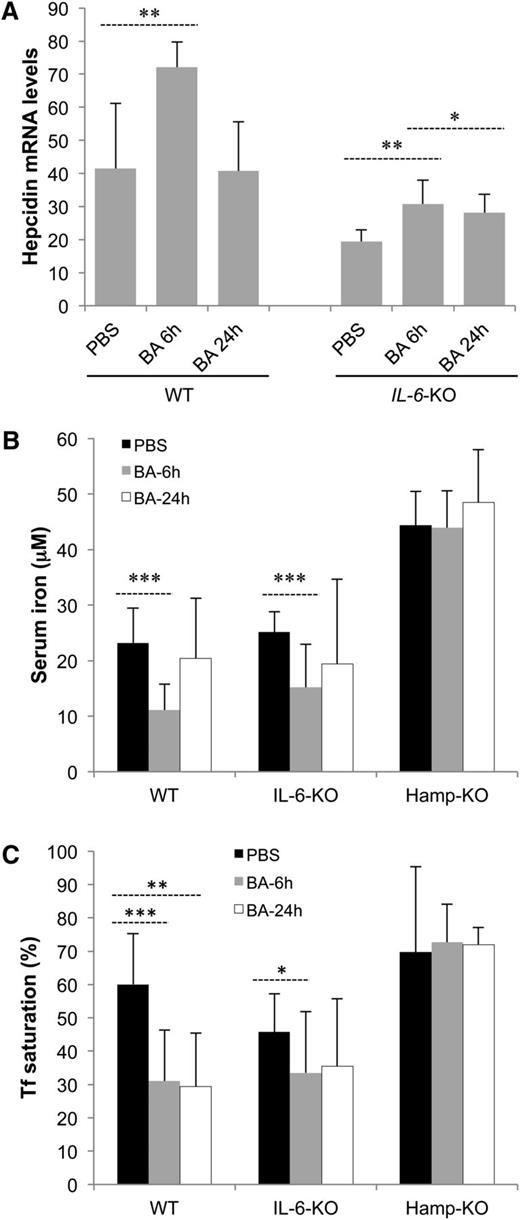 Figure 1. BA-treated mice show signs of iron-restricted erythropoiesis. (A) mRNA level of Hamp in liver. Mouse glyceraldehyde-3-phosphate dehydrogenase and β-actin were used as endogenous controls in the quantitative polymerase chain reaction (n = 4-8). (B) Iron concentration and (C) Tf saturation in serum samples from WT, IL-6-KO, and Hamp-KO mice (n = 5-10). P values were calculated using unpaired, 2-tailed Student t test. *P < .05; **P < .01; ***P < .001.