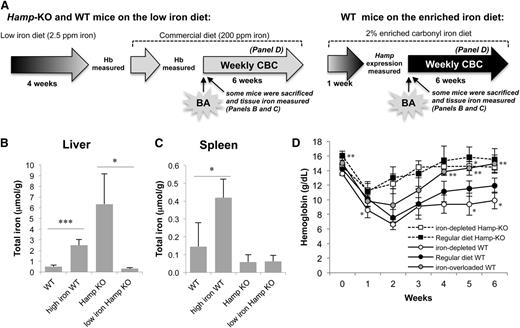 Figure 3. Lack of Hamp supports recovery from BA-induced anemia. (A) Hamp-KO mice were fed an iron-deficient diet (2.5 ppm iron) to determine the effect of their tissue iron storage on the recovery from BA-induced anemia. Hamp-KO controls were fed a standard iron content diet (regular). WT mice were either fed the iron-deficient diet or a 2% iron enriched diet to generate iron-depleted or iron-overloaded mice that maintain normal Hamp expression. Iron depletion was monitored by measuring mice Hb levels, whereas iron overload was determined by increased hepatic Hamp expression (data not shown). Total iron content was measured in the (B) liver and (C) spleen of iron-depleted Hamp-KO, iron-overloaded WT, and the respective control mice (n = 3-5). (D) Hamp-KO mice fed the low iron diet, WT mice fed the low or high iron diet, and Hamp-KO and WT controls on the regular diet were injected with 5 × 108 particles of BA, and their hematological parameters were followed with CBC over 6 weeks (n = 4-8). Iron-depleted Hamp-KO mice were compared with control Hamp-KO mice, whereas iron-depleted and iron-overloaded WT mice were compared with control WT mice for the respective time points. Error bars represent SD. P values were calculated using unpaired, 2-tailed Student t test. *P < .05; **P < .01; ***P < .001.