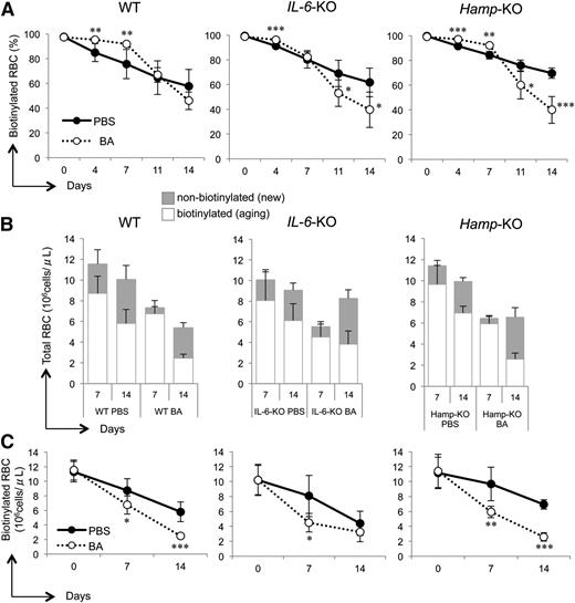 Figure 5. RBC production and lifespan are decreased in BA-treated mice. (A) Percentage of biotinylated RBCs, (B) total RBC number, and (C) biotinylated RBC number in WT, IL-6-KO, and Hamp-KO mice injected with BA or PBS. We analyzed between 5 and 7 mice for each group. Each time point in BA-treated mice was compared with the same time point in PBS-treated mice in A and C. P values were calculated using unpaired, 2-tailed Student t test. *P < .05; **P < .01; ***P < .001.