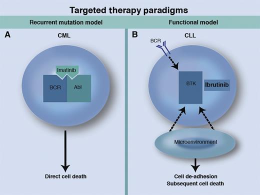 Two paradigms for small molecule–targeted therapies in cancer. (A) In the recurrent mutation model exemplified by CML, selective inhibition of a kinase with recurrent mutation or translocation leads to direct cell death. (B) In the functional model as seen in CLL, kinase inhibition disrupts the prosurvival signals from the BCR and the microenvironment, leading to de-adhesion of malignant cells from the microenvironment and subsequent cell death in the peripheral blood. Professional illustration by Marie Dauenheimer.