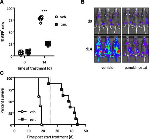 Figure 2. Response to panobinostat is independent of a functional p53 pathway. (A-B) Flow cytometry analysis of leukemic cells in peripheral blood and BLI of A/E9a;NrasG12D/p53−/− leukemia recipient mice treated with panobinostat or vehicle using the standard treatment regimen. In panel A, each data point represents an individual mouse, and horizontal bars represent mean value. ***P < .0001. (C) Kaplan-Meier survival curves of treated A/E9a;NrasG12D/p53−/− leukemia recipient mice following initiation of therapy (n = 10 for vehicle, n = 8 for panobinostat; median survival benefit 21 days, P < .0001). Dotted line indicates final day of treatment.