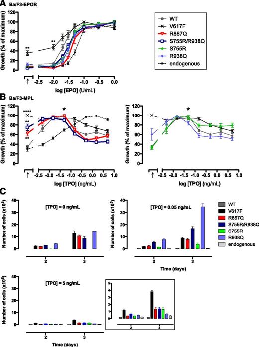 Figure 3. Sensitivities to EPO and TPO of Ba/F3-EPOR and Ba/F3-MPL cells. (A) Ba/F3-EPOR cells expressing each of the JAK2 forms were cultured for 48 hours either in the absence of cytokine (black arrow, x-axis) or in the presence of increasing doses of EPO (0.01, 0.02, 0.03, 0.05, 0.1, 0.3, and 1 U/mL). Viable cells were quantified by WST-1 proliferation assay. Dose-response curves are means expressed in percentages of maximum growth value ± standard error of the mean (SEM; n = 4 in triplicate). (B) Proliferation was assayed 48 hours after culturing Ba/F3-MPL cells expressing each of the JAK2 forms in the absence of cytokine (black arrow, x-axis) or in the presence of increasing doses of TPO (0.005, 0.015, 0.05, 0.15, 0.5, 1.5, and 5 ng/mL). The asterisk indicates 0.05 ng/mL TPO. Data are means ± SEM (n = 4 independent experiments performed in triplicate). Two-tailed Student t test: **P < .01; ****P < .0001. (C) Ba/F3-MPL cell lines were plated at 30 000 cells and cultured over a period of 72 hours in the absence or presence of either 0.05 ng/mL or 5 ng/mL TPO and numbered. Curves show cumulative cell number ± standard deviation of a typical experiment out of 3 performed in triplicate. Insert represents data at 5 ng/mL TPO with an adapted y-axis scale.