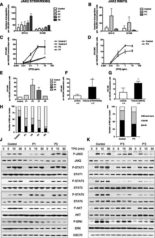 Figure 7. Assessment of myeloid progenitor amplification and signaling in platelets from JAK2-mutated patients from families 1 and 2. Mononuclear cells from R867Q (n = 2) patients, S755R/R938Q (n = 4) patients, or control donors (n = 5) were purified and plated (A-B) in methylcellulose with SCF/IL-3/EPO to study BFU-E progenitors or (C-D) in serum-free fibrin clot with SCF and increasing doses of TPO, (E) with 10 ng/mL TPO to study CFU-MK progenitors. Data represent means ± standard deviation for each patient plated in triplicate. (F-G) Histograms represent the means ± SEM of CFU-MK progenitors in the presence of SCF and TPO (10 ng/mL) for patients (n = 5 for S755R/938Q, n = 3 for R867Q) and controls (n = 4). Two-tailed Student t test: **P < .01. (H-I) The numbers of MKs per cluster were counted. (J-K) Platelets were isolated from R867Q (n = 2) patients, S755R/R938Q (n = 4) patients, or control donors (n = 3); washed in phosphate-buffered saline; and stimulated or not with TPO (5 ng/mL). Platelets were lysed, and the phosphorylation status of JAK2, STAT1, STAT3, STAT5, AKT, and ERK1/2 was examined by western blotting with the respective anti-phospho specific antibodies, as indicated. Expressions of HSC70 and of total STAT proteins, AKT, and ERK in the samples were used as loading controls. Blots show representative results in 2 S755R/R938Q patients (P1, P3) (J) and 2 R867Q patients (P′2, P′3) (K).