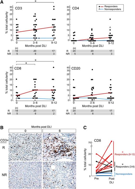 Figure 2. Characterization of immune cell subsets in marrow over time after DLI. (A) IHC staining analysis of marrow immune populations from responders and nonresponders before and 3 to 6 and 9 to 12 months after DLI. For each immune cell subset, significant differences between 0 and 3 to 6- or 9 to 12-month time points are noted. (B) Representative IHC of marrow samples from one responder and one nonresponder demonstrates robust marrow infiltration by CD3+ T cells in the responder before and subsequent increase after DLI. Images were captured with an Olympus QColor 5 camera on an Olympus BX41 microscope with a x40/0.75 objective using Adobe Photoshop Software (vCS5). (C) Pairwise comparison of individual patients’ marrow before and after DLI therapy revealed significant upregulation of marrow CD8+ T cells in the responder cohort after treatment. *P < .05 using the Wilcoxon signed-rank test.