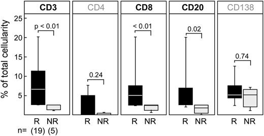Figure 3. CD8+ T-cell infiltrates are significantly increased in pretreatment marrow in responders. Quantification of immune cell subsets (CD3+, CD8+, CD4+, CD20+, CD138+) performed on marrow from responders and nonresponders before DLI therapy. Whiskers in box plots indicate maximum and minimum values. The line indicates median value; P values refer to responders (R) vs nonresponders (NR) comparison using the exact Wilcoxon rank-sum test.