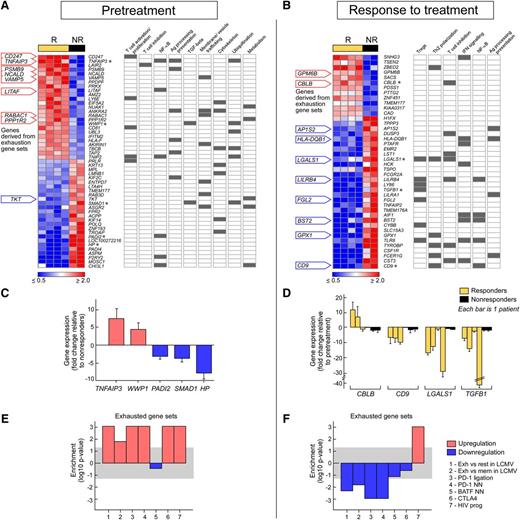Figure 5. Expression profiling reveals T-cell exhaustion as a strongly associated signature of response to DLI therapy. Differential gene expression from CD3+ T cells isolated from the marrow of DLI responders (R) and nonresponders (NR) before DLI therapy (A) or in response to treatment (B). The annotation of genes within key biological processes is indicated. The asterisks refer to genes selected for qPCR validation (see C-D). (C-D) qPCR validation of changes in microarray gene expression in selected genes (C) differentially expressed between R and NR before therapy and (D) differentially affected by DLI over time in R compared with NR. Data are represented as mean ±SEM, with each sample performed in triplicate. (E-F) GSEAs from the pretreatment and response to treatment comparisons. The bar graphs show P value of enrichment (signed according to enrichment score) for distinct T-cell exhaustion gene sets in R vs NR before (E) or after (F) DLI therapy. Detailed descriptions of gene sets are provided in supplemental Table 4. The shaded region indicates P > .05.