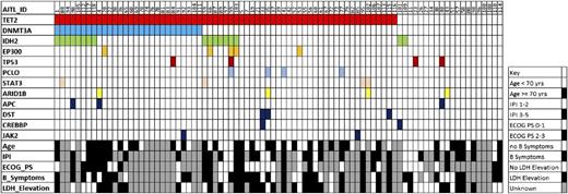 Figure 1. Distribution of mutations in 85 cases of AITL. Common mutations and demographic and clinical factors across the cohort are shown. Each column represents a single patient. IPI, International Prognostic Index; ECOG PS, European Cooperative Oncology Group Performance Status.