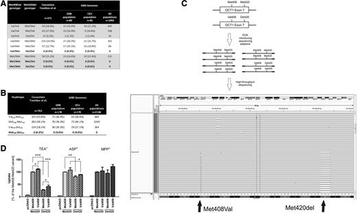 Figure 1. Haplotype combinations of the Met408Val and Met420del polymorphisms in the OCT1 gene in humans and their functional activity. (A-B) Combined representation of the Met408Val and Met420-deletion genotypes (A) and haplotypes (B) of Caucasians from our previous clinical studies and from selected (CEU and GRB) or all populations from the 1000 Genomes Project (the individual genotype data that was used in the calculations was obtained from http://www.ncbi.nlm.nih.gov/variation/tools/1000genomes/).5 Individual haplotypes were inferred using PHASE version 2.1.6 The genotype/haplotype frequencies are given as number (and %) of all individuals in the corresponding population. CEU, population of Utah residents (CEPH) with Northern and Western European ancestry; GRB, population of British in England and Scotland. (C) Strategy (upper 2 panels) and an example of the results (lower panel) of haplotype sequencing analyses using semiconductor-based massively parallel sequencing. A 155-bp region from the chromosome 6 was amplified via PCR. The region contained both the Met408Val and Met420-deletion loci. This haplotype-specific single-molecule DNA analysis enabled us to experimentally verify the presence of different haplotype combinations in individuals heterozygous for the Met408Val and Met420-deletion polymorphisms. The PCR products were purified, pooled together, subjected to template preparation using Ion OneTouch, and sequenced using Ion PGM (both from Life Technologies, Darmstadt, Germany). We obtained on average 19 000 sequencing reads per chromosome that covered both loci. The results were visualized using Integrative Genomics Viewer version 2.3 (Broad Institute; http://www.broadinstitute.org/igv/). Each gray line represents a single sequencing read. The reads containing the Val408 allele are denoted with a G indicating a disagreement with the Met408 allele that is present in the human reference sequence (that is given in the bottom of the figure). The presence of the Met420 deletion is designated with a black dash indicating a disagreement with the presence of ATG in the human reference sequence. This is a representative example of part of the reads of a single sample demonstrating that individuals heterozygous for both Met408 and Met420 deletion did not carry the 2 alleles on the same chromosome. (D) Comparison of the uptake activity of hOCT1 carrying all theoretically possible combinations of the Met420del and Met408Val polymorphisms. The uptake was measured in human embryonic kidney 293 cells stably transfected with the hOCT1 variants or with an empty control plasmid pcDNA5. The stably transfected cells were generated using the FlpIn system for targeted chromosomal integration (Life Technologies) following a procedure described before.7 The uptake was measured as the total cellular accumulation after a 2-minute incubation at 37°C with 1 µM MPP+, 5 µM TEA+, or 5 µM ASP+. The concentrations used were below (MPP+ and TEA+) or close to (ASP+) the known KM values for the substrates. The concentrations of TEA+ and MPP+ used in this study were identical to the one used by Giannoudis et al1 and Shu et al,8 respectively. Two minutes of incubation were within the linear range for time dependence of the OCT1-mediated uptake. Shown are means and standard error of the means of at least 3 independent experiments, each performed in duplicate. Met420 deletion caused a significant 70% decrease in TEA+ uptake. The decrease was less strong (18.6%) when ASP+ was used and missing when MPP+ was used as a substrate. In comparison, the exchange of Met408 to Val408 caused only a 12% increase in TEA+ uptake. The effects of Met408Val substitution were similar in size both with the Met420 and Del420 background and vice versa. This suggests independent additive effects and a lack of epistatic interaction between the 2 polymorphisms.
