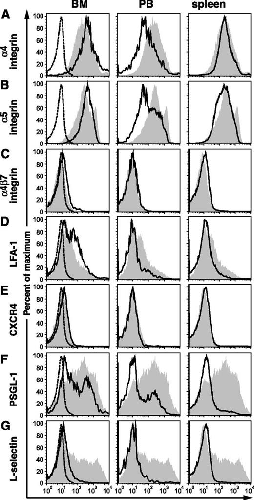 Figure 1. The expression of L-selectin and PSGL-1 are decreased on c-Kit+Lin– BCR-ABL1+ stem/progenitor cells. Flow cytometric analysis of the normalized expression level of adhesion molecules (x-axis) on (left) BM, (center) PB, and (right) spleen cells from a mouse with BCR-ABL1–induced CML-like disease (black lines), gated on c-Kit+Lin–GFP+ cells, vs normal c-Kit+Lin– BM cells (gray): (A) α4-integrin, (B) α5-integrin, (C) α4β7-integrin, (D) LFA-1 (αLβ2), (E) CXCR4, (F) PSGL-1, and (G) L-selectin. Staining with PE-conjugated isotype antibody is indicated by the dotted histograms in the BM samples. Data are representative of 3 independent experiments on mice euthanized 3 weeks after transplantation.