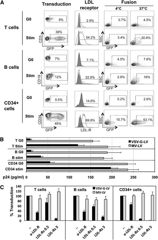 Figure 1. Low expression of LDL receptor on resting T cells, B cells, and CD34+ cells limits VSV-G-LV binding, fusion, and transduction of these gene-therapy targets. (A) Unstimulated human T cells, B cells, and CD34+ cells (G0) or 24-hour prestimulated (stim) T cells (anti-CD3 + anti-CD28 + IL-2), B cells (SAC + IL-2), and hCD34+ cells (TPO + SCF + Flk-3L) were transduced with a GFP-encoding VSV-G-LV vector at an MOI = 50 (T and B cells) or MOI = 100 (CD34+ cells) and GFP+ cells were analyzed at day 3 posttransduction by FACS (see supplemental Methods, available on the Blood Web site); for LDL-R detection, freshly isolated or 24-hour prestimulated cells (see above) were incubated with the anti–LDL-R antibody (mouse mAb; R&D Systems) followed by staining with anti-mouse APC antibody (white open histograms), a control incubation with the latter antibody alone was performed (gray filled histogram); for fusion detection, freshly isolated or 24-hour prestimulated cells were incubated overnight with GFP gesicles7 at 4°C to allow only binding or at 37°C to allow binding followed by fusion. The cells were then treated with trypsin to remove the GFP gesicles at the cell surface that did not fuse with the cells. (B) Equivalent quantities of VSV-G-LV or LV particles without envelope (measured by p24 content) were incubated with freshly isolated or 24-hour prestimulated cells (2E5 cells) for 1 hour at 4°C and then washed 4 times to remove unbound vector particles. The cells were pelleted and the cell-associated HIV capsid content (p24) was determined by ELISA (means ± SD; n = 3). The p24 signal for nonenveloped LVs was used as reference. (C) Entry through LDL-R was evaluated by blocking with a monoclonal antibody (C7, aLDL-R at 5 μg/mL; Santa Cruz Biotechnology) or by competition with soluble LDL receptor at 0.5 μg/mL (LDL-R 0.5; R&D Systems) or 5 μg/mL (LDL-R 5). A 1-hour preincubation of the prestimulated T cells, B cells, and CD34+ cells with either blocking agent was performed before transduction with GFP-encoding VSV-G-LVs (MOI 50 for T and B cells; MOI 100 for CD34+ cells) or MV-LVs (MOI of 10) for 48 hours, followed by FACS analysis for detection of GFP+ cells (means ± SD; n = 3). aLDL-R, anti-low density lipid receptor antibody; ELISA, enzyme-linked immunosorbent assay; FACS, fluorescence-activated cell sorter; IL, interleukin; mAb, monoclonal antibody; MOI, multiplicity of infection; SAC, staphylococcus aureus Cowan; SCF, stem cell factor; TPO, trombopoietin. Blood samples were obtained from healthy donors after informed consent and after local ethical committee approval in accordance with the Declaration of Helsinki.