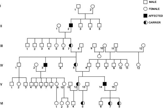 Figure 1. Pedigree of Heckathorn disease. Modified from Ratnoff and Lewis.1