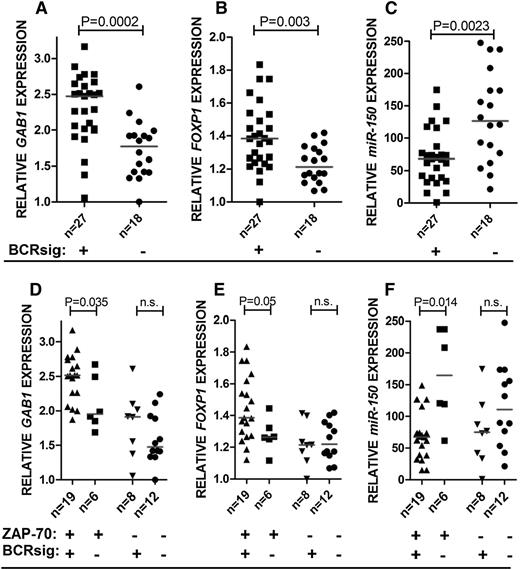 Figure 5. Relationship between expression of miR-150, GAB1, or FOXP1 and the relative sensitivity to BCR ligation in CLL. The association between BCR responsiveness and GAB1 (A), FOXP1 (B), or miR-150 (C) expression. Forty-five CLL samples were stimulated by anti-μ (10 μg/mL) and the calcium flux was assessed by flow cytometry. Below each panel is a “+” or a “−” in the row labeled “BCRsig” on the left to indicate samples that were high responders or low responders, respectively. (D-F) Another row is beneath the panels labeled on the left as “ZAP-70” to indicate the samples that were positive or negative for ZAP-70, as indicated by the “+” or “−”, respectively. n.s., not significant; ZAP-70+, ZAP-70 positive samples.