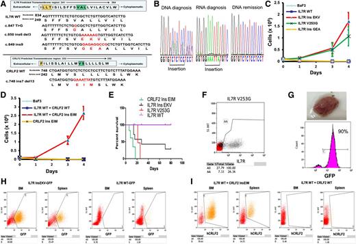 Figure 1. Noncysteine mutations in IL7R and CRLF2 are transforming leukemogenic mutations. (A) Predicted transmembrane domain (TMD) of IL7R and CRLF2 with location of cysteine mutations (orange box) and noncysteine mutations (green box) and alignment of WT and mutated TMD sequences. Numbers show the positions of nucleotides and corresponding amino acids. The inserted nucleotides and amino acids are shown in red. (B) Expression of CRLF2InsEIM mutation. The mutated allele is expressed in the RNA from diagnosis whereas only the normal allele is found in the remission DNA sample because CRLF2 is expressed only in leukemic B-cell as a result of a chromosomal rearrangement.8 (C,D) Cytokine withdrawal assay of BaF3 cells transduced with mutated or WT IL7R or CRLF2. (E) Overall survival of mice (7 mice in each group, 3 experiments) injected intravenously with 1-2*106 BaF3 cells expressing IL7R, WT or mutant, or IL7RWT and CRLF2insEIM compared by Kaplan-Meier analysis P ≤ .01. (F) Representative flow cytometric analysis of blood from mice injected intravenously with 1-2*106 BaF3 cells expressing IL7RV253G. (G) Lymphoma tumor (top) observed in a mouse injected subcutaneously with 1-2*106 BaF3 cells expressing IL7RIns EKV-GFP. Representative GFP expression from lymphoma cells (bottom). (H) Representative analysis of cells from spleen and bone marrow from mice injected intravenously with 1-2*106 BaF3 cells expressing IL7RIns EKV and sacrificed at day 14. (I) Representative analysis of cells from spleen and bone marrow from mice injected intravenously with 1-2*106 BaF3 cells coexpressing the IL7RWT and CRLF2WT or CRLF2insEIM mutant, and sacrificed at day 16. Del, deletion; Ins, insertion; WT, wild type.