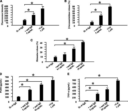 Figure 3. Biologic effects of the cross-linking of FcεRI on ROSAKIT WT cells. ROSAKIT WT cells were primed first with recombinant human IL-4 (recombinant human IL-4; 20 ng/mL) and human monoclonal IgE (2 μg/mL) for 5 days to increase the expression of FcεRI. (A) To determine CD203c upregulation, ROSAKIT WT primed cells were stimulated by anti-human IgE (5 µg/mL) or by Ca-ionophore (Cai) (1 µM) for 1 hour. After labeling with an anti-human CD203c Ab coupled with allophycocyanin (APC), the fluorescence intensity was measured by using a FACSCalibur flow cytometer. (B) To determine β-hexosaminidase release, ROSAKIT WT primed cells were stimulated by anti-human IgE or by Cai for 1 hour. β-hexosaminidase enzymatic activity was measured in the cell-free supernatants and after cell lysis as described in Materials and methods. (C) To determine histamine release, primed ROSAKIT WT cells were stimulated with various concentrations of anti-human anti-IgE Ab at 37°C for 30 minutes. Thereafter, cells were centrifuged at 4°C, and the supernatants and cell pellets were analyzed for histamine content by using a specific radioimmunoassay kit. Results of histamine release are expressed as percentage of total histamine. (D) To examine synthesis of PGD2, primed cells were stimulated by anti-human IgE (5 or 10 µg/mL) or by Cai (1 µM) for 1 hour. Thereafter, cells were centrifuged, and the cell-free supernatants were analyzed for PGD2 content by using a specific enzyme immunoassay (EIA) kit. (E) To study the synthesis of TNF-α, primed ROSAKIT WT cells were stimulated by anti-human IgE (5 or 10 µg/mL) or by Cai (1 µM) for 6 hours. Thereafter, cells were centrifuged, and the cell-free supernatants were analyzed for TNF-α content by using a specific EIA kit. For each parameter, data presented are the mean ± SD from 3 independent experiments. *Significantly different from the control (IL-4 + IgE) at P < .05.
