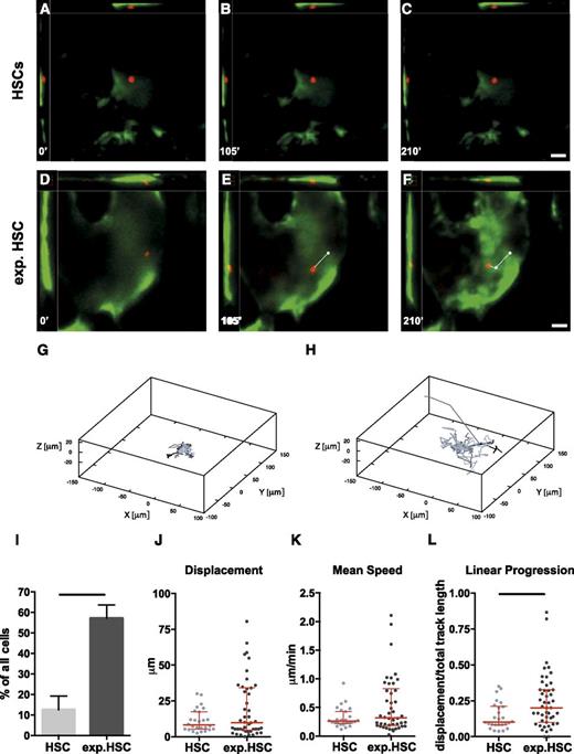 Figure 2. Time-lapse in vivo imaging of HSCs and exp.HSCs. (A-F) DiD-labeled (A-C) HSCs or (D-F) exp.HSCs were injected into col2.3GFP mice, and 16 to 20 hours later they were imaged every 5 minutes for 5 hours. Shown are representative xyz views of 3-dimensional stacks at the time points indicated, showing a stationary HSC and a migratory exp.HSC. Red, DiD-labeled HSC/exp.HSC; green, osteoblasts. Asterisks and dotted lines in E and F indicate exp.HSC position in previous frame shown and 2-dimensional displacement. Scale bars: 30 µm. (G-H) Gunplot 4.4 software was used to obtain a 3-dimensional representation of (G) HSC and (H) exp.HSC tracks, arranged to overlay the initial point of each track. (I) Proportion ± SE of migratory HSCs (n = 26 pooled from 3 mice containing 8, 8, and 10 cells each) and exp.HSCs (n = 46 pooled from 4 mice containing 7, 8, 13, and 18 cells each) observed (Fisher exact tests, P < .001). (J-L) Analysis of the characteristics of the movement of all HSCs and exp.HSCs observed (n = 26 and 46, respectively). Each dot represents 1 track and shows its (J) displacement (net distance covered from beginning to end of track), (K) mean speed, and (L) linear progression (ratio of displacement and total track length). Red lines indicate the median and the interquartile range (ie, intermediate 50% of values). One off-scale value for displacement (197.215 μm) and mean speed (4.005 μm/min), belonging to the same cell, was not included in the graphs, but was included in the statistical analysis. Differences in the median of these characteristics were tested using pairwise exact Mann-Whitney U-tests with the following results: (J) P = .39; (K) P = .56; and (L) P = .007. Additionally, differences in the variability of these characteristics were tested using the Brown-Forsyth F test: (J) P = .02; (K) P = .04; and (L) P = .02; P ≤ .05 for differences in proportions and medians (but not variance) is indicated by black lines.
