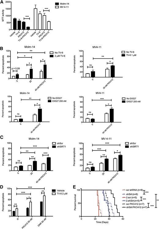 Figure 3. Targeting SIRT1 sensitizes AML cell lines and primary AML patient cells to TKI treatment. (A) Cell proliferation assay of Molm-14 (black bars) and MV4-11 (white bars). Cells were treated with PKC412 (35 nM), TV-6 (2 and 1 µM, respectively), or a combination for 48 hours. Shown are mean values ± SD of 3 independent experiments. (B) Molm-14 and MV4-11 cells were treated with PKC412, TV-6 (top), or EX527 (bottom) or in combination, as indicated. The percentage of apoptotic cells was determined by Annexin V expression. Shown are mean values ± SD of 3 independent experiments. (C) Molm-14 (left) and MV4-11 (right) cells were transduced with lentiviral vectors expressing a doxycycline-inducible nonsilencing miR-shRNA (shScr) or a miR-shRNA targeting SIRT1 (shSIRT1-1 and shSIRT1-2), incubated with doxycycline for 72 hours, followed by PKC412 treatment, as indicated. The percentage of sub-G1 cells corresponding to apoptotic cells was determined by flow cytometry. Data represent mean values ± SD of 3 independent experiments. (E) Primary AML blasts were treated with PKC412, TV-6, and daunorubicin alone or in combination for 48 hours, as indicated. The percentage of apoptotic cells in blast gate was determined by Annexin V expression. Shown is the pooled analysis of apoptotic cell death in primary AML samples treated with PKC412 (n = 5) or daunorubicin (DNR; n = 3) with and without TV-6. *P < .05; **P < .01; ***P < .001; unpaired Student t test. (F) Kaplan-Meier survival curves of NSG mice transplanted with MV4-11 cells expressing either a doxycycline-inducible nonsilencing miR-shRNA or a miR-shRNA targeting SIRT1. Oral doxycycline treatment was initiated 10 days after transplantation, treatment with PKC412 (100 mg/kg per day) by oral gavage was started 15 days after transplantation. *P < .05, **P < .01, ***P < .001; log-rank test.