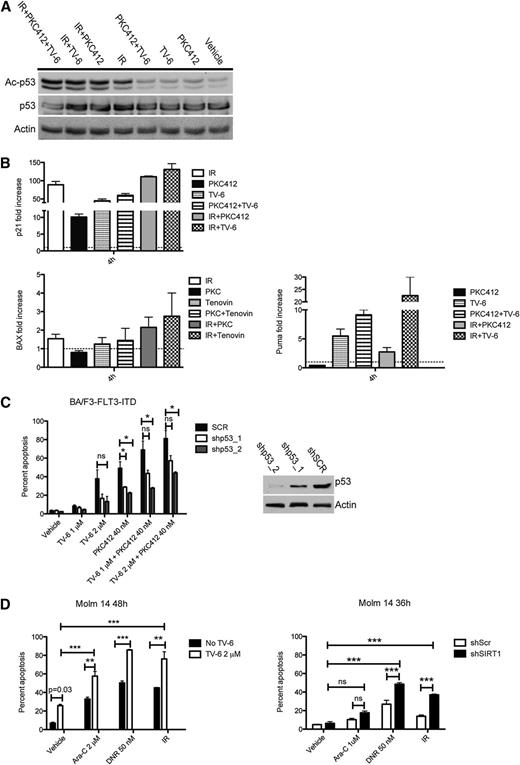 Figure 5. Inhibition of SIRT1 sensitizes leukemic cells to genotoxic stress-mediated p53 activation and apoptosis. (A) Western blot of Molm-14 cells treated for 4 hours, as indicated, probed with antibodies directed against acetylated p53, p53, and Actin. (B) RQ-PCR analysis of p21 (top) and BAX and Puma (bottom) in Molm-14 cells treated as indicated. Target gene expression was normalized to GAPDH, and fold change is shown relative to untreated control (p21 and BAX) or irradiation only (Puma; because of no detectable expression in untreated cells). Data represent mean values ± SD of 3 independent experiments. (C) Analysis of apoptosis in BA/F3-FLT3-ITD cells infected with lentivirus expressing 2 different shRNA clones directed against p53 or scrambled shRNA after treatment with TV-6 and PKC412 (left). Immunoblot analysis demonstrating p53 knockdown efficacy (right). (D) Analysis of apoptosis after treatment with TV-6 (left) or SIRT1-knockdown (right) and genotoxic agents, as indicated. The percentage of sub-G1 cells corresponding to apoptotic cells was determined by flow cytometry. Data represent the mean values ± SD of 3 independent experiments. *P < .05, **P < .01, ***P < .001; unpaired Student t test.
