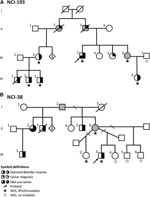 Figure 1. Pedigree of DBA Families. (A) Family NCI-193; (B) Family NCI-38. The diamond indicates the number of healthy siblings not shown.