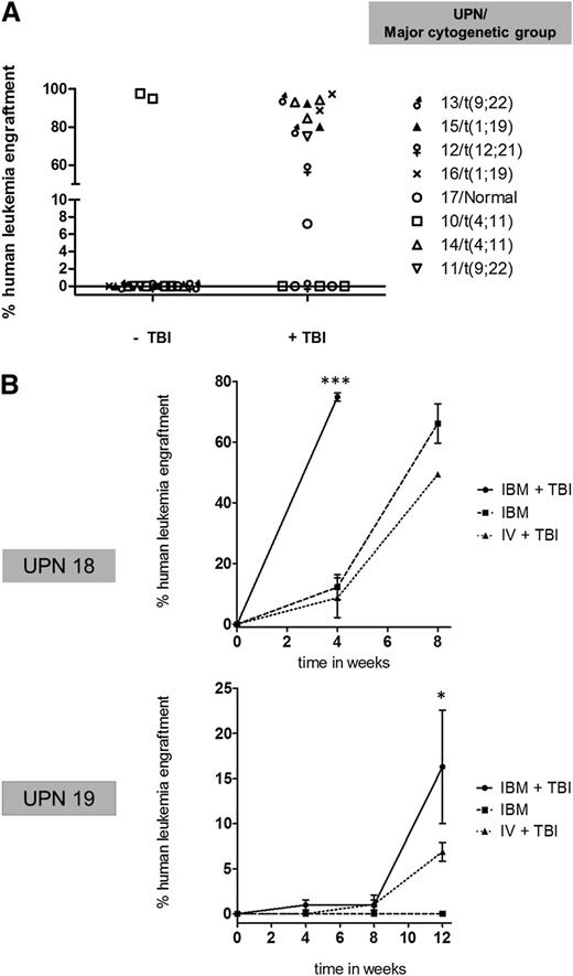 Figure 1. Comparison of adult pre-B ALL engraftment by either unconditioned (−TBI) or 2.5-Gy TBI preconditioned (+TBI) xenotransplant assaying. (A) Comparison of percentage of engraftment in 8 samples assayed by ±TBI following IV transplantation. Symbols correspond to a single mouse. (B) Engraftment kinetics of 2 non-t(4;11) pre-B ALL samples by IBM alone, IBM injection + TBI, and IV injection + TBI. Mean leukemia engraftment (CD45+/CD19+) ± standard error of the mean (SEM) are shown at the indicated time points as ascertained by IBM sampling (first time point sampled from noninjected bone). More than 2 mice injected per condition. ***P < .0001 compared with IBM and IV + TBI. *P < .05 compared with IBM and IV + TBI.