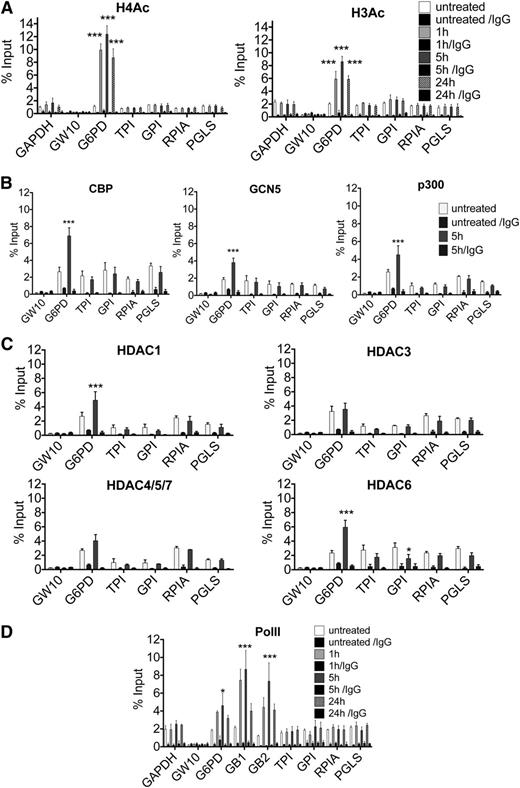 Figure 2. Epigenetic changes in GPPP gene promoters in response to NaBu treatment. (A) Histone 3 and histone 4 acetylation (H3Ac; H4Ac) levels assessed by ChIP-RQ-PCR in WT B cells at baseline and after NaBu treatment. A GAPDH promoter amplicon is used as a positive control. GW10, an amplicon in a region devoid of genes on chromosome 10 is shown as a negative control (n = 3). (B-C) HAT and HDAC binding, respectively, at the GPPP gene promoters in WT B cells in the presence of NaBu. CBP, GCN5, and p300 binding assessed by ChIP-RQ-PCR after 5-hour treatment with NaBu (n = 3). (D) Pol II binding on the GPPP gene promoters and 2 gene body areas of G6PD (GB1 and GB2) in WT B cells after 0 to 24 hours of treatment with NaBu (n = 3). Enrichment of binding in the target areas using specific antibody and immunoglobulin G (IgG) controls is calculated as percentage of input throughout (n = 3). *P < .05; **P < .01; ***P < .001