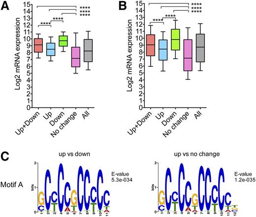 Figure 3. Modulation of transcription of active vs inactive genes by HDACi. (A) Comparison in erythroid cells of basal mRNA expression levels of groups of genes modulated (up- and downregulated, all genes together or as individual groups) with genes that show no change in response to HDACi. The basal expression level of all genes (All) is also shown. Genes were ranked according to a cutoff of 1.5-fold change and P < .05. (B) The same analysis as in (A) of the GSE15735 data set. CD4+ T cells were treated with 100 ng/mL TSA and 2 mM NaBu for 12 hours. Box blots show 25% to 75% quartiles; horizontal lines show the mean, and whiskers show the 10th to 90th percentiles. One-way analysis of variance (ANOVA) corrected for multiple comparisons; ****P < .0001. (C) De novo motif identification in the promoters of the 70 most up- vs downregulated and most upregulated vs no change genes after NaBu treatment. A GC-rich motif (Motif A) was the most highly enriched in the promoters of the upregulated genes in both group comparisons. In downstream analysis, Motif A was identified as an Sp1 binding site (supplemental Figure 2A).