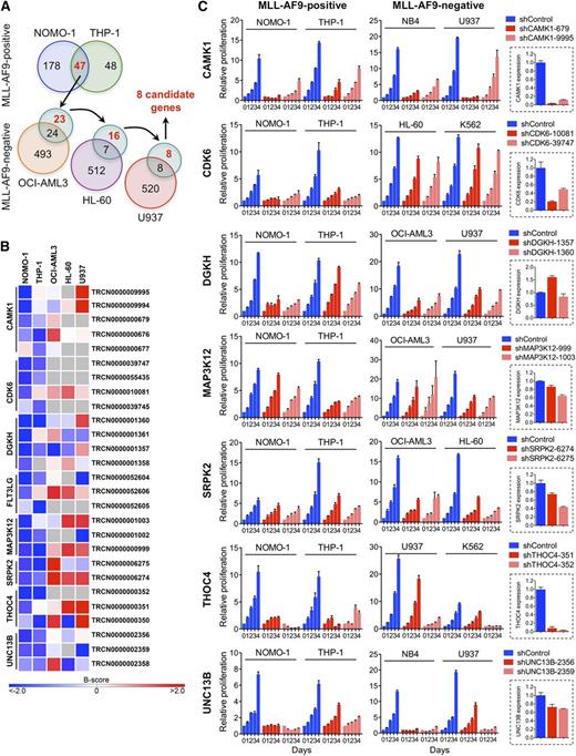 Figure 1. RNAi screens for genes required by MLL-AF9pos AML cell lines. (A) Schematic of RNAi screens. Numbers in circles indicate genes scoring as positive. Genes scoring exclusively in MLL-AF9pos AML cell lines are indicated in red. (B) Candidate genes preferentially required in MLL-AF9pos AML cell lines. For each of the top-ranking genes, the shRNAs scoring in NOMO-1 and/or THP-1 are shown. Negative B-scores indicate reduced viable cell numbers. (C) Validation of candidate genes. Shown are the effects of 2 shRNAs per candidate gene on cell viability and proliferation of AML cell lines with and without an MLL-AF9 fusion and the knockdown efficiency of each shRNA in NOMO-1 cells, as determined by qRT-PCR.