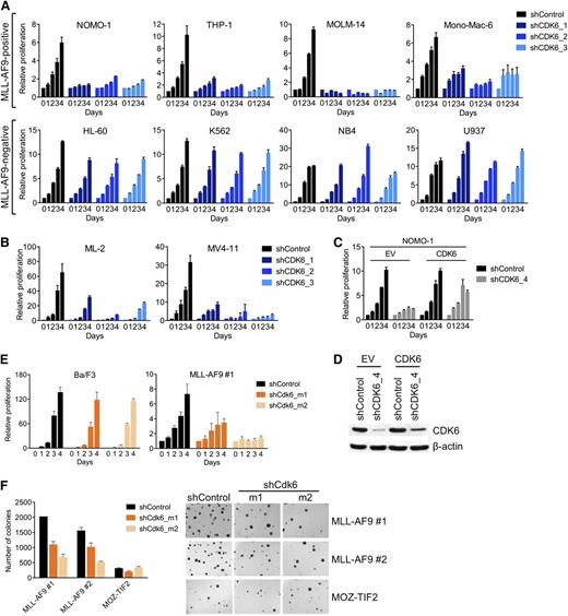 Figure 2. Requirement for CDK6 in MLL-rearranged hematopoietic cells. (A) Effects of CDK6 suppression in MLL-AF9pos and MLL-AF9neg AML cell lines. (B) Effects of CDK6 suppression in MLL-AF4pos MV4-11 and MLL-AF6pos ML-2 cells. (C) Rescue of viable cell number by expression of the CDK6 coding sequence in NOMO-1 cells transduced with an shRNA targeting the CDK6 3′ UTR. (D) CDK6 protein expression of cells used in panel C. (E) Effects of Cdk6 suppression in suspension cultures of Ba/F3 cells and murine HSPC transduced with MLL-AF9. (F) Effects of Cdk6 suppression in methylcellulose cultures of murine HSPC transduced with MLL-AF9 or MOZ-TIF2. Original magnification, ×25.