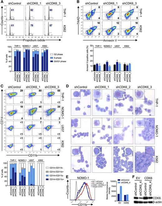 Figure 3. Effects of CDK6 suppression in AML cells. (A) Flow cytometric analysis of cell-cycle progression. Numbers indicate percentages of cells in G0/G1. (B) Flow cytometric analysis of apoptosis. Numbers indicate percentages of cells. (C) Flow cytometric analysis of myeloid differentiation in AML cell lines. Numbers indicate percentages of cells. (D) Microscopic analysis of May-Grünwald-Giemsa–stained cytospin preparations of AML cell lines. Original magnification, ×400. Insets show twofold magnified details of the corresponding photographs. (E) Inhibition of myeloid differentiation by expression of the CDK6 coding sequence in NOMO-1 cells transduced with an shRNA targeting the CDK6 3′ UTR. (F) Immunoblot analysis of cells shown in panel E.