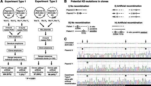 Figure 1. PCR artifacts may mimic BCR-ABL1 compound mutations in CML patients. (A) Outline of the experimental procedure used. Experiment type 1 controls for recombination during cloning into Escherichia coli; mutant BCR-ABL1 plasmids were subjected to PCR amplification individually, and then equal quantities of amplicons of 2 plasmids were mixed, denatured by heating to 95°C for 5 minutes, and cloned. Experiment type 2 mimics amplification of samples from patients with ≥2 mutant BCR-ABL1 clones; equal quantities of 2 plasmids were mixed and subjected to PCR amplification and cloning. Both types of experiments were replicated using 7 mixtures of 5 different plasmids, each containing 4 to 10 KD mutations. Approximately 3000 copies of each plasmid were used as template for each PCR. Unless otherwise specified, first-round PCR (40 cycles) was performed using the Roche Expand Long Template PCR System and the primers 5′-TGACCAACTCGTGTGTGAAACTC-3′ and 5′- TTCGTCTGAGATACTGGATTCCTG-3′, generating ∼1.5 kb amplicons. After cleanup with ExoSAP-IT (Affymetrix), 1 μL of the amplicons was used as template in a second-round PCR (40 cycles) using the primers 5′-GGGCTCTATGGGTTTCTGAATG-3′ and 5′-ATACTGGATTCCTGGAACATTGTTT-3′, generating ∼1.5 kb amplicons containing the BCR-ABL1 KD. Amplified fragments were cloned into pGEM-T Easy (Promega, Madison, WI) and transformed into E coli strain JM109 to minimize E coli–mediated recombination and repair of heterologous DNA. Individual clones (14-37 per mixture) were subjected to Sanger sequencing to reveal the BCR-ABL1 KD sequence within individual amplicons. Clones without artificial recombination are those where the KD mutations resemble those in either of the plasmids in the mixture, and conversely clones with artificial recombination are those with KD mutations originating from both of the plasmids in the original mixture. (B) The KD mutations potentially generated in clones if artificial recombination did not (i, iii) or did (ii, iv) occur. Circles represent compound mutations in plasmid X, and boxes represent compound mutations in plasmid Y; hexagons represent E255K (mix 1, first patient), and stars represent T315I (mix 1, second patient). (C) Sanger sequencing chromatograms showing KD mutations present in a representative plasmid X (black circles) and plasmid Y (gray boxes) and a clone generated using the experiment type 2 procedure. This clone contained 2 of 3 mutations originating from plasmid X as well as 1 mutation originating from plasmid Y. The artificial recombination event occurred within the region marked by the hashed bar. (D) Artificial BCR-ABL1 compound mutations are generated by PCR amplification of mock samples created by mixing equal quantities of cDNA from 8 different CML patients (analogous to experiment type 2; 3 mixtures of 2-3 patient cDNA samples each). Where human tissue was involved, research was conducted with institutional ethics review board approval and in conformance with the Declaration of Helsinki. Mutations present in the original patient samples are shown in bold. Mutations present in >1 clone, but not detected by Sanger sequencing or mass spectrometry in the individual patient samples (“additional mutations”), are shown in regular text; with the exception of exon 7 deletion, these mutations have not been reported in CML patients and likely represent artifacts generated by inaccurate nucleotide incorporation by the DNA polymerase. The frequency of each clone is shown in proportion to the number of clones sequenced per mixture. A total of 13 different clones were detected for mix 1, 5 different clones for mix 2, and 7 different clones for mix 3.
