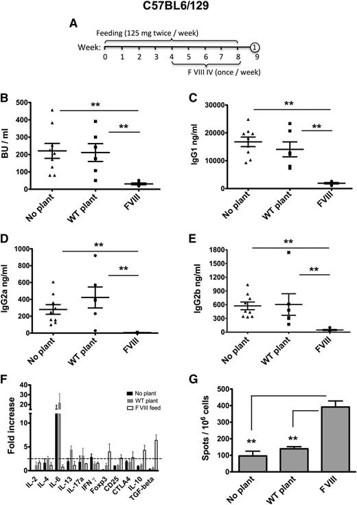 Figure 3. Suppression of inhibitor formation against FVIII in C57BL6/129 mice with hemophilia A by oral administration of a 1:1 mixture of bioencapsulated CTB-C2 and CTB-HC FVIII antigens. (A) Time line of oral antigen administration and intravenous treatment with BDD-FVIII. Number in circle indicates time-point for tail bleed. (B) Inhibitor titers (in BU per milliliter) after 4 weekly IV injections of FVIII in non-fed animals (“no plant”) or mice fed with WT or FVIII containing plant material. IgG1 (C), IgG2a (D), IgG2b (E) titers against FVIII for the same experimental groups. (B-E) Data are shown for individual mice and as averages ± standard error of the mean (SEM). (F) After the blood draw, mice were killed and spleens collected. Splenocyte cultures for individual mice (n = 3-5 per group) were stimulated in vitro with 10 μg/mL BDD-FVIII for 48 hours. Subsequently, cells were harvested and subjected to quantitative reverse-transcription-PCR analysis. “Fold increase” is change in RNA transcripts of FVIII vs mock-stimulated cultures. The dotted horizontal line indicates the minimally required increase of 2.5-fold for a statistically significant difference. (G) Splenocytes derived from the same experimental mice were subjected to enzyme-linked immunospot analysis for frequency of IL-10 secreting cell population. All data are shown for individual mice and as averages ± SEM. Unpaired 2-tailed Student t tests were used to calculate P values (**P < .01).