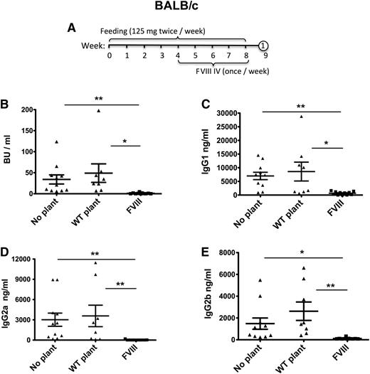 Figure 4. Suppression of inhibitor formation against FVIII in BALB/c mice with hemophilia A by oral administration of a 1:1 mixture of bioencapsulated CTB-C2 and CTB-HC FVIII antigens. (A) Feeding and FVIII treatment schedule. Number in circle indicates time point for tail bleed. (B) Inhibitor titers (in BU per milliliter) after 4 weekly IV injections of BDD-FVIII in No plant, WT plant, and FVIII plant fed groups. IgG1 (C), IgG2a (D), and IgG2b (E) titers against FVIII for the same experimental groups. All data are shown for individual mice and as averages ± SEM. Unpaired 2-tailed Student t tests were used to calculate P values (*P < .05, ** P < .01).
