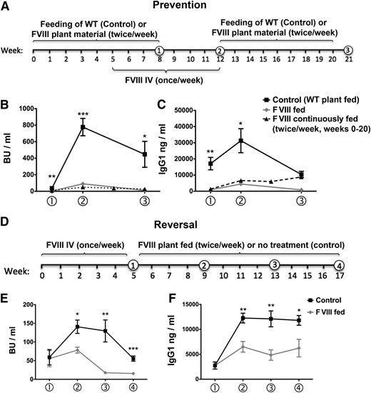 Figure 5. Long-term control and reversal of inhibitor formation in BALB/c mice with hemophilia A. (A) Feeding (HC and C2 material) and FVIII administration schedule for prevention of inhibitor formation. Numbers in circles indicate time-points for blood collection. Inhibitor titers in BU per milliliter (B) and IgG1 titers against FVIII (C) at weeks 8, 12, and 21 of the experiment for FVIII-fed mice (n = 5, back square symbols) are compared with control mice (which were fed with WT plant material; n = 7; gray diamonds). Statistically significant differences between these groups for specific time points are indicated (*P < .05; **P < .01; ***P < .001, as calculated by unpaired 2-tailed Student t-test; data are averages ± SEM). A third group of mice (n = 7) was also fed with FVIII material, and FVIII was administered IV once/week starting 1 month after initiation of the oral tolerance regimen. However, FVIII feeding and treatment were continued for the remaining duration of the experiment (ie, 20 weeks of FVIII feeding; these mice are labeled as “FVIII continuously fed” and graphed with black triangle symbols and dotted line in B and C; data are averages ± SEM). (D) FVIII administration and feeding schedule for reversal of inhibitor formation. Inhibitor formation was induced by repeated weekly IV injections of FVIII as indicated. Mice were divided into 2 groups with similar average inhibitor titers. Control mice (n = 5) did not receive any further treatment. The second group (“FVIII fed”; n = 4) was fed with FVIII plant material twice per week for the following 3 months. Inhibitor titers in BU per milliliter (E) and IgG1 titers against FVIII (F) are graphed for weeks 5, 9, 13, and 17 of the experiment, as explained earlier.