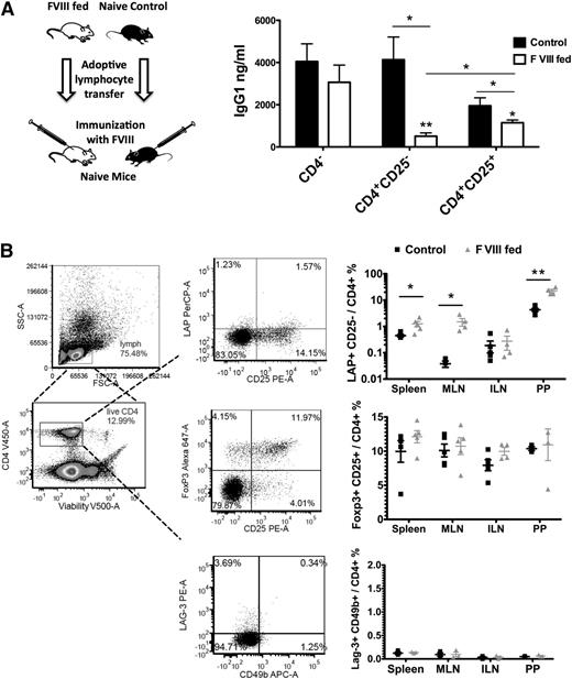 Figure 6. Active suppression of antibody formation against FVIII by induction of regulatory T cells. (A) Adoptive transfer experiments. CD4−, CD4+CD25−, and CD4+CD25+ cells were purified via magnetic sorting from spleens and MLN of FVIII-fed mice (n = 3) at time-point 3 indicated in Figure 5A and pooled (with a final ratio of approximately 30% spleen and 70% MLN-derived CD4+ T cells). Cells (106 per mouse) were adoptively transferred into naive BALB/c mice via tail vein injection. Control cells were from unchallenged naive mice of the same strain. Twenty-four hours later, all recipient mice (n = 5 per group) were challenged with 1 IU FVIII in adjuvant via subcutaneous injection. IgG titers against FVIII were determined 3 weeks later. All data are shown as averages ± SEM (*P < .05; **P < .01). (B) Frequencies of Treg subsets in FVIII fed and control BALB/c mice with hemophilia A. Cells derived from spleens, MLN, inguinal lymph nodes (ILN), and Peyer’s patches (PP) were isolated from mice that had either been fed with FVIII (HC+C2, “FVIII fed”) or WT plant material (“control”), followed by IV treatment with FVIII (“FVIII fed”). Stained cells were first gated for live CD4+ cells (positive CD4-eFluor 450 and negative viability dye eFluor 506 staining). The frequencies of CD4+CD25− Latency Associated Peptide (LAP)+ cells, CD4+CD25+Foxp3+ cells, and type 1 regulatory T cells (CD4+LAG-3+CD49b+) were calculated using flow cytometric analysis. Data for individual animals as well as averages ± SEM are shown (n = 3-5/group). Unpaired 2-tailed Student t tests were used to calculate P values for all panels.