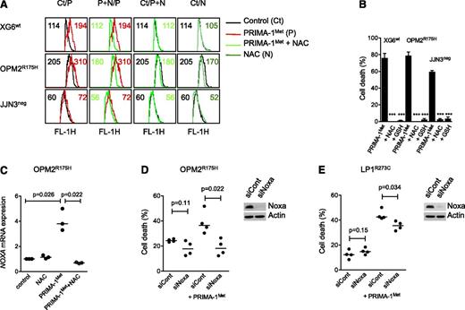 Figure 3. Induction of ROS and Noxa was involved in myeloma cell death. (A) PRIMA-1Met induced ROS production. XG6 (TP53wt), OPM2 (TP53R175H), and JJN3 (TP53neg) cells (0.5 × 106/mL) were incubated overnight with 20 μM (JJN3) or 30 μM (XG6, OPM2) PRIMA-1Met in the presence or absence of 5 mM NAC. CellROX reagent (5 μM) was added to the cell culture for the last 30 minutes, at 37°C. Cells were washed in phosphate-buffered saline, and fluorescence was analyzed on FACSCalibur. (B) ROS scavengers NAC and GSH-MEE inhibited PRIMA-1Met-induced cell death. Cells were treated with PRIMA-1Met for 2 days in the presence or absence of NAC or GSH-MEE (5 mM). Cell death was assessed using Apo2.7 staining. The data represent the mean ± SEM of at least 3 experiments. ***P < .001. (C) PRIMA-1Met increased the expression of NOXA mRNA. OPM2 cells were treated overnight with 30 μM PRIMA-1Met in the presence or absence of NAC (5 mM). The expression of NOXA mRNA was performed using quantitative reverse-transcription polymerase chain reaction with the TaqMan probe. The data represent 3 independent experiments. (D-E) Transient silencing of Noxa inhibited PRIMA-1Met-induced cell death. OPM2 cells (B) or LP1 cells (C) were transfected with 100 pmol siCont or siNOXA (Life Technologies). At 72 hours, cells were treated for 24 hours with 100 μM PRIMA-1Met, and cell death was assessed using flow cytometry (Apo2.7 staining). The data represent 4 independent experiments. Noxa expression was assessed using western blotting 72 hours after siRNA transfection.
