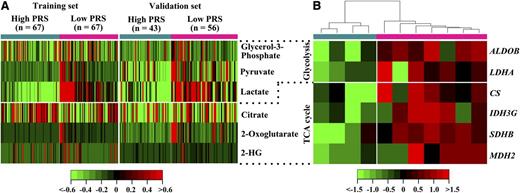 Figure 3. Glucose metabolism and mRNA expression of related metabolic genes in CN-AML patients with low and high PRSs. (A) Heat map showed 6 serum metabolite biomarkers between low and high PRS groups. (B) Heat map showed changes in the expression of genes involved in glucose metabolism of low and high PRS groups. Shades of red and green represented high or low expression (see color scale). Each column represented a patient with low PRS (denoted by deep pink bar) or a patient with high PRS (denoted by deep sky blue bar).