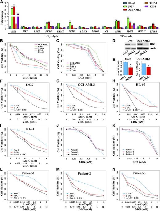 Figure 4. The mRNA expression of genes involved in glucose metabolism and the biological role of aberrant glycolysis in AML cells. (A) Assay of the expression of genes involved in glucose metabolism in 5 AML cell lines, HL-60, U937, OCI-AML3, THP-1, and KG-1. Target gene expression in U937, OCI-AML3, THP-1, and KG-1 was normalized to those in HL-60 (which were set at 1) and presented as fold changes relative to HL-60. **P < .01 vs HL-60. (B-C) Cell viability curves of AML cell lines treated with glycolytic inhibitors 2-DG and DCA, respectively. (D) Western blot showed downregulation of HK1 in U937 and OCI-AML3 by shRNA. (E) Increased sensitivity to Ara-C in U937 and OCI-AML3 with reduced HK1 expression. *P < .05 vs shNT. (F-I) Synergistic effect of 2-DG and Ara-C on U937, OCI-AML3, HL-60, and KG-1, respectively. (J-K) Cell viability curves of AML primary blast cells treated with glycolytic inhibitors 2-DG and DCA, respectively. (L-N) Synergistic effect of 2-DG and Ara-C on AML primary blast cells of patient 1, patient 2, and patient 3, respectively. Each measure was performed with at least 3 duplicates and was expressed as mean ± SE.