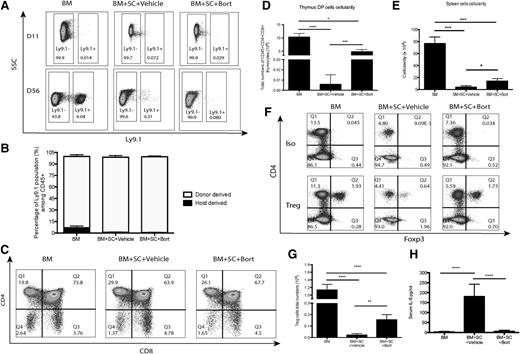 Figure 4. T-cell engraftment and Treg cell populations after BMT. To evaluate the effects of bortezomib on T cells, irradiated Balb/c mice were transplanted with bone marrow cells with or without spleen cells and treated with bortezomib (0.1 mg/kg) or vehicle control. Data were collected from 2 to 3 independent experiments with ≥8 mice per group. (A-B) Spleen cells were isolated at either day 11 or day 56 and analyzed for chimerism (Ly9.1+ stain for recipient-derived cells) by flow cytometry. (C-D) Thymus engraftment was analyzed by double-positive T cells (CD4+CD8+) at day 56 by flow cytometry. (E) Cellularity in secondary lymphoid organs at day 56. (F) Spleens were harvested and analyzed for Treg cell populations. (G) Total numbers of Treg cells. (H) Serum IL-6 levels were detected by cytometric bead array. All data were shown as mean ± SEM and analyzed by 1-way ANOVA with a Tukey post hoc test to compare between individual groups. *P < .05, **P < .01, and ***P < .001 were considered significant. Data were collected from 2 independent experiments with 8 mice per group.