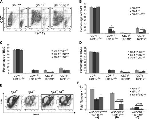 Figure 5. Early and late stages in erythropoiesis are rescued in Gfi-1−/− mice by reducing Id2 levels. (A) Representative flow cytometric analyses of erythroid development in BMCs using CD71 and Ter119 surface markers. Upper left quadrant of contour plot contains CD71+/Ter119−/lo erythroid-committed progenitors, which further develop into CD71+/Ter119+ erythroblasts in the upper right quadrant of the contour plot, which differentiate into more mature CD71−/Ter119+ erythroid contains in the lower right quadrant of the contour plot. (B) Bar graph showing the percentages of erythroid populations identified by CD71 and Ter119 expression on Gfi-1+/+, Gfi-1−/−, and Gfi-1−/−;Id2+/− BMCs. The percentages can be directly compared between mice, because the total BM cellularity of all mice examined was equivalent. The data are presented as mean ± SD and are representative of 3 independent experiments. *P < .05 for Gfi-1−/− compared with Gfi-1−/−;Id2+/− CD71+/Ter119−/lo and CD71−/Ter119+ cell populations. (C-D) Bar graphs showing the percentages of erythroid populations identified by CD71 and Ter119 expression on (C) Gfi-1+/+;Id1+/−, Gfi-1−/−;Id1+/+, and Gfi-1−/−;Id1+/− BMCs and (D) Gfi-1+/+;Id3+/−, Gfi-1−/−;Id3+/+, and Gfi-1−/−;Id3+/− BMCs. The data are presented as the mean ± SD. (E) Analysis of CD71 and Ter119 expression in c-Kit+ BMCs in Gfi-1+/+, Gfi-1−/−, and Gfi-1−/− ; Id2+/− mice. These include the percentages of CD71med/loTer119−/lo (A), CD71hiTer119med (B), and CD71loTer119lo (C) c-Kit+ BMCs. CD71hiTer119med erythroid progenitors in c-Kit+ BMCs were restored by reducing Id2 levels in Gfi-1−/− mice, and the increase in c-Kit+ CD71loTer119lo cell population in Gfi-1−/− BMCs was reduced by decreasing Id2 levels in vivo. (F) Total number of c-Kit+ CD71med/loTer119−/lo, c-Kit+ CD71hiTer119med, and c-Kit+ CD71loTer119lo erythroid progenitor cells in BMCs using total BM cellularity, percentage of c-Kit+ BMCs, and percentage of erythroid progenitors from 2 femurs and 2 tibias of each mouse. Data are presented as the mean ± SD.