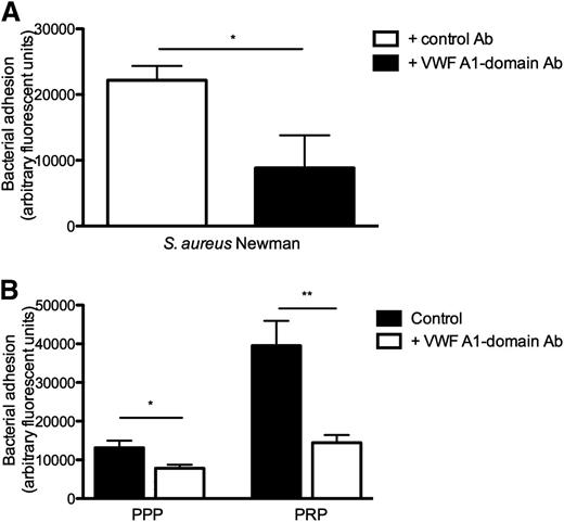 Figure 4. Blocking A1-domain of VWF inhibits S aureus binding to collagen under shear stress. (A) Perfusion over coated collagen with fluorescently labeled WT strain and 60 μg/mL VWF in medium at a shear rate of 1000 seconds−1. Anti-A1 VWF domain antibody (Ab) 6D1 (final concentration 10 μg/mL) or anti-tPa monoclonal immunoglobulin G1 Ab (10 μg/mL) were added where indicated (n ≥ 5). (B) Perfusion over coated collagen at 1000 seconds−1 with WT strain in PPP and PRP (PPP or PRP preincubation of 15 minutes at 37°C). 6D1 (final concentration 10 μg/mL) was added where indicated (n ≥ 4). All results are expressed as mean ± SEM. *P < .05, **P < .01.