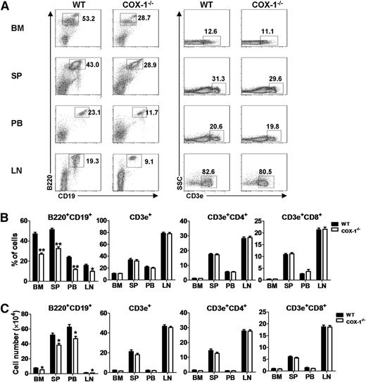 Figure 1. COX-1 deficiency impairs B-cell homeostasis. (A) Representative flow cytometry profiles of BM, spleen (SP), peripheral blood (PB), and lymph node (LN) tissues from homozygous COX-1−/− mice and WT littermates to identify total B (B220+CD19+) and T (CD3e+) lymphocytes. Numbers in the plots indicate percentages in each gate. (B) Percentages and (C) absolute cell counts of B cells, T cells, and T-cell subsets in the indicated tissues of WT and COX-1−/− mice. (A-C) Each group included 6 mice, and measurements were repeated 3 times for each mouse; data are shown as mean ± standard error of the mean (SEM). *P < .05, **P < .01 compared with controls using unpaired Student t tests.
