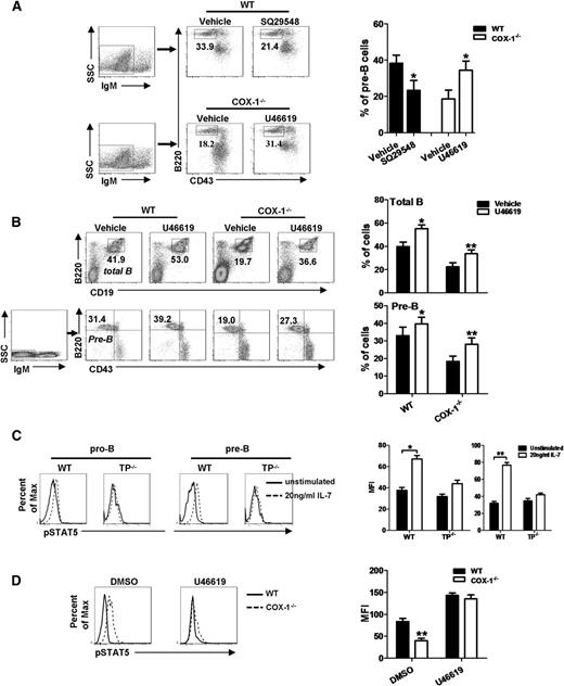 Figure 5. TxA2-TP mediates the effect of COX-1 on B-cell development. (A) BM cells from WT and COX-1−/− mice were treated with the TP antagonist SQ29548 and the TP agonist U46619, respectively. Cells were then cultured for B-cell differentiation. The frequency of pre-B cells was evaluated by flow cytometric analysis. Both representative results from (left) 1 experiment and (right) the mean ± SEM of 3 independent experiments are shown. (B) WT or COX-1−/− mice (n = 6) were intraperitoneally injected with U46619 (5 μg/kg body weight) or phosphate-buffered saline twice weekly. The proportions of total B cells and pre-B cells were examined by flow cytometry 3 weeks after injection. (Left) Representative results from 1 mouse; the numbers in the plots indicate percentages of total living cells. (Right) Mean ± SEM from all 6 mice. (C) Purified B-cell subpopulations from BM of TP−/− and WT controls were stimulated with IL-7 for 15 minutes; the level of p-STAT5 was determined by flow cytometric analysis. (D) BM cells from WT and COX-1−/− mice were treated with the TP agonist U46619 or DMSO. Cells were then stimulated with IL-7 for 15 minutes. The levels of p-STAT5 in B220+ cells were determined by flow cytometric analysis. (C-D) (Left) Representative data from a single experiment. (Right) Mean ± SEM of MFI from 3 independent experiments. *P < .05 and **P < .01 using unpaired Student t tests.