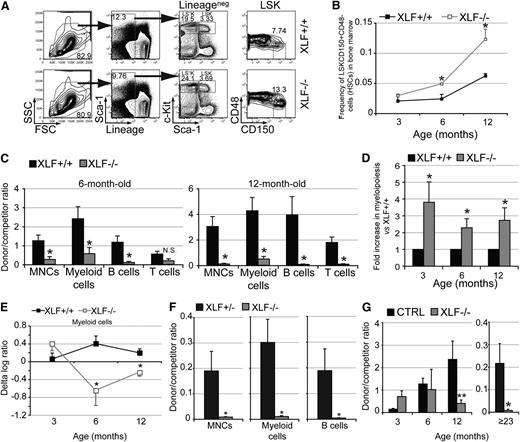 Figure 2. Functional decline of XLF-deficient HSCs with aging. (A) Representative flow cytometric analysis of lineagenegSca-1+c-Kit+CD150+CD48− HSCs in the BM in XLF−/− and control mice. (B) Frequency of HSCs in the BM at various ages of XLF−/− (n ≥ 3 per age group) and control mice (n ≥ 2 per age group). (C) Ratio of donor to competitor contribution within total MNCs and mature lineages in PB of primary recipients of BM cells from XLF−/− and XLF+/+ mice 10 weeks after transplantation; n ≥ 6 per age group per genotype. XLF−/− and XLF+/+ BM cells within each age group were transplanted with BM cells from a common competitor mouse for easy comparison. Different age groups (3, 6, and 12 months old) were not transplanted at the same time; therefore, absolute chimerism between various age groups of the same genotype cannot be directly compared. (D) Myeloid donor/competitor ratio vs B-cell donor/competitor ratio in primary recipients of XLF−/− BM cells normalized to that of controls; n ≥ 6 per age group per genotype. (E) The δ log ratio within peripheral myeloid cells between secondary and primary transplantations for recipients of XLF+/+ or XLF−/− BM cells; n ≥ 4 per age group per genotype. (F) Ratio of donor to competitor contribution within PB MNCs, myeloid and B cells of primary recipients of purified HSCs from ≥23-month-old XLF+/− or XLF−/− mice with competitor BM cells 10 weeks after transplantation; n ≥ 6 per age group per genotype. (G) Donor-to-competitor ratio within BM lineagenegSca-1+c-Kit+CD150+ HSCs of primary recipients of 3-, 6-, and 12-month-old XLF+/+ (CTRL) and XLF−/− BM cells ≥20 weeks after transplantation, and primary recipients of ≥23-month-old XLF+/− (CTRL) and XLF−/− HSCs ≥17 weeks after transplantation; n ≥ 5 per age group per genotype. Data represent mean ± standard error of the mean. *P < .05, **P < .01. The P values in this figure were calculated using two-tailed Student t test assuming equal variance. FSC, forward scatter; N.S., not significant; SSC, side scatter.