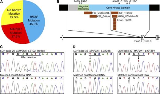 Figure 1. Somatic MAP2K1 mutations in LCH. (A) The frequency of mutually exclusive BRAF and MAP2K1 mutations in LCH is shown. (B) A portion of the MAP2K1 gene including exons 2 and 3 is depicted at the bottom, and regions of the MEK1 protein encoded by exons 2 and 3 are depicted above. Somatic mutations in LCH involve the N-terminal negative regulatory region encoded by exon 2 and the catalytic core encoded by exon 3. The circles above the protein denote substitutions and the bars below the protein indicate in-frame deletions. (C) A sequence electropherogram from case 26 (top) demonstrates the most common mutation identified in this study, E102_I103del. The absence of this mutation in a sequence electropherogram from matched constitutional DNA (bottom) confirms the somatic nature of this mutation. (D) Sequence electropherograms from case 32 (top) and matched constitutional DNA (bottom) demonstrate 2 somatic missense mutations—C121S and G128V—at similar allele frequencies.