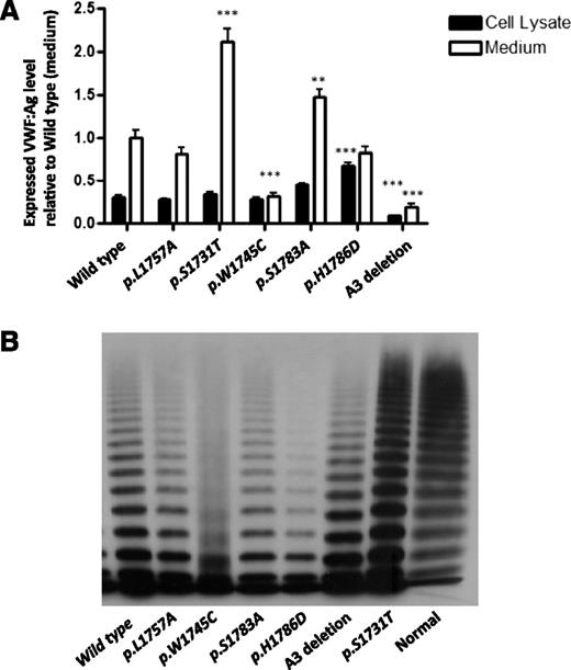 Figure 1. Expression of recombinant mouse VWF:CB variants. (A) Transient transfection of murine VWF cDNA was performed in HEK293T cells and expressed in serum-free medium. Total VWF:Ag level in medium and lysates per 10-cm dish was measured via VWF:Ag ELISA and results were normalized to WT-VWF expressed in medium equal to 1 (n = 10). *P < .05, **P < .01, ***P < .001. (B) Multimeric analysis for r-mVWF. All of the mutant mVWFs had a normal complement of HMWMs, except p.W1745C, which showed a smeary multimer pattern. The A3 deletion mutant showed a triplet band shift corresponding to loss of the A3 domain.